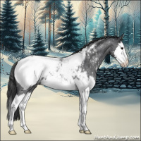 Horse Color:Blue Roan Splash Appaloosa 