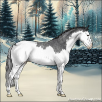 Horse Color:Blue Roan Splash Varnish 