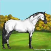 Horse Color:Blue Roan Snowcap 