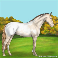 Horse Color:Smoky Blue Roan Pearl Appaloosa