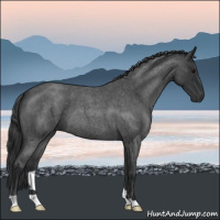 Horse Color:Blue Roan 