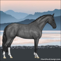 Horse Color:Blue Roan 
