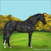 Horse Color:Midnight Blue Ice Roan