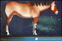 Horse Color:Bay Onyx Rabicano 