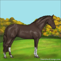 Horse Color:Liver Chestnut Tobiano 