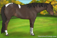 Horse Color:Liver Chestnut Tobiano 