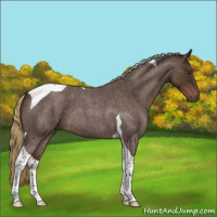 Horse Color:Liver Red Roan Tobiano
