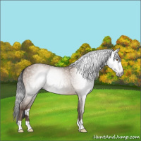 Horse Color:Gray Sable Champagne 