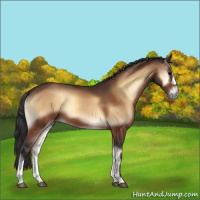 Horse Color:Bay Onyx 