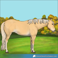 Horse Color:Palomino Dun 
