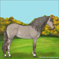 Horse Color:Liver Red Dun Mushroom 