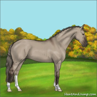 Horse Color:Liver Red Dun Mushroom 
