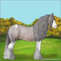 Horse Color:Liver Chestnut Splash Varnish Rabicano 