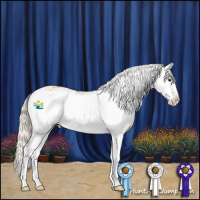 Horse Color:Palomino Sabino Blanket 