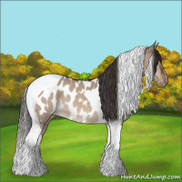 Horse Color:Brown Dun Tobiano Near Leopard 