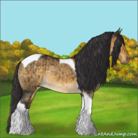 Horse Color:Buckskin Dun Tobiano Rabicano Brindle 