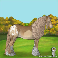 Horse Color:Chocolate Palomino Dun Tobiano Blanket Rabicano  and Chocolate Palomino Tobiano Rabicano 