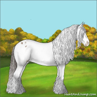 Horse Color:Liver Red Dun Splash Tobiano Snowflake Varnish 