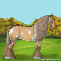 Horse Color:White Spotted Chocolate Palomino Dun 