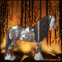 Horse Color:White Spotted Liver Red Dun Rabicano 