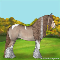 Horse Color:Liver Red Dun Sabino Tobiano