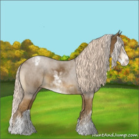 Horse Color:Chocolate Palomino Sabino Appaloosa Rabicano