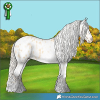 Horse Color:Gold Cream Champagne Sabino and Gold Cream Champagne Dun Tobiano Blanket