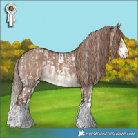 Horse Color:Liver Red Dun Sabino  and Liver Red Dun Sabino Splash Rabicano Brindle 