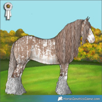 Horse Color:Liver Red Dun Sabino  and Liver Red Dun Sabino Splash Rabicano Brindle 
