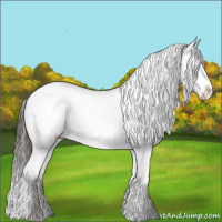 Horse Color:White Spotted Liver Red Dun Appaloosa Brindle 