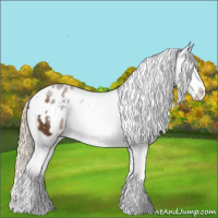 Horse Color:White Spotted Chocolate Palomino Sabino Blanket 