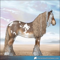 Horse Color:White Spotted Chocolate Palomino Roan 