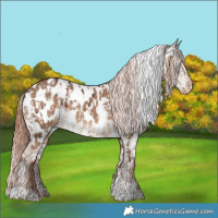 Horse Color:Liver Chestnut Sabino Splash Tobiano Leopard  and White Spotted Liver Red Dun Tobiano Near Leopard 