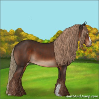 Horse Color:Liver Chestnut Sabino