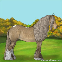 Horse Color:Chocolate Palomino Dun Tobiano Rabicano 