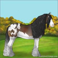 Horse Color:Bay Splash Blanket 