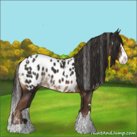 Horse Color:White Spotted Liver Chestnut Splash Appaloosa 