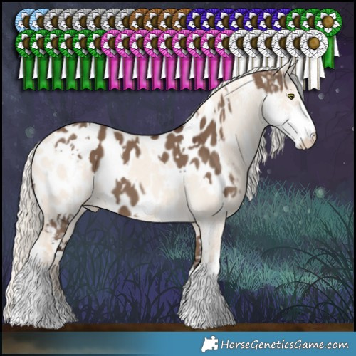 Horse Color:White Spotted Liver Red Dun Sabino Blanket and Cremello Dun Sabino Blanket