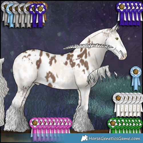 Horse Color:White Spotted Liver Red Dun Sabino Appaloosa  and Cremello Dun Sabino Appaloosa 