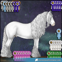 Horse Color:White Spotted Liver Red Dun Sabino Appaloosa  and Cremello Dun Sabino Appaloosa 