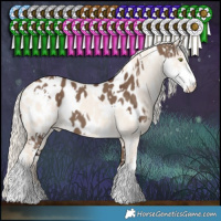 Horse Color:White Spotted Liver Red Dun Sabino Blanket and Cremello Dun Sabino Blanket