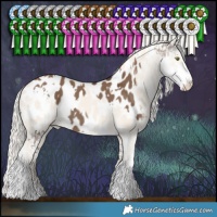 Horse Color:White Spotted Liver Red Dun Sabino Appaloosa  and Cremello Dun Sabino Appaloosa 