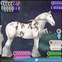 Horse Color:White Spotted Liver Red Dun Sabino Appaloosa and Cremello Dun Sabino Appaloosa