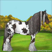 Horse Color:White Spotted Liver Chestnut 