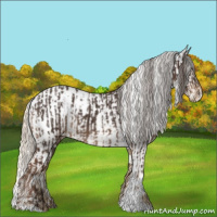 Horse Color:White Spotted Liver Chestnut  and White Spotted Chocolate Palomino Snowcap 