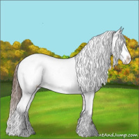 Horse Color:White Spotted Bay Dun Appaloosa Rabicano 