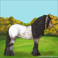 Horse Color:White Spotted Bay Roan Dun Appaloosa 
