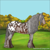 Horse Color:White Spotted Liver Chestnut Blanket 