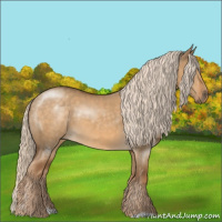 Horse Color:Chocolate Palomino Dun 