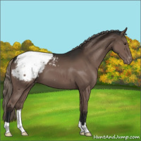 Horse Color:Liver Chestnut Mushroom Snowcap 